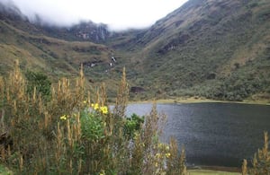 Este páramo es uno de los más importantes del oriente colombiano.