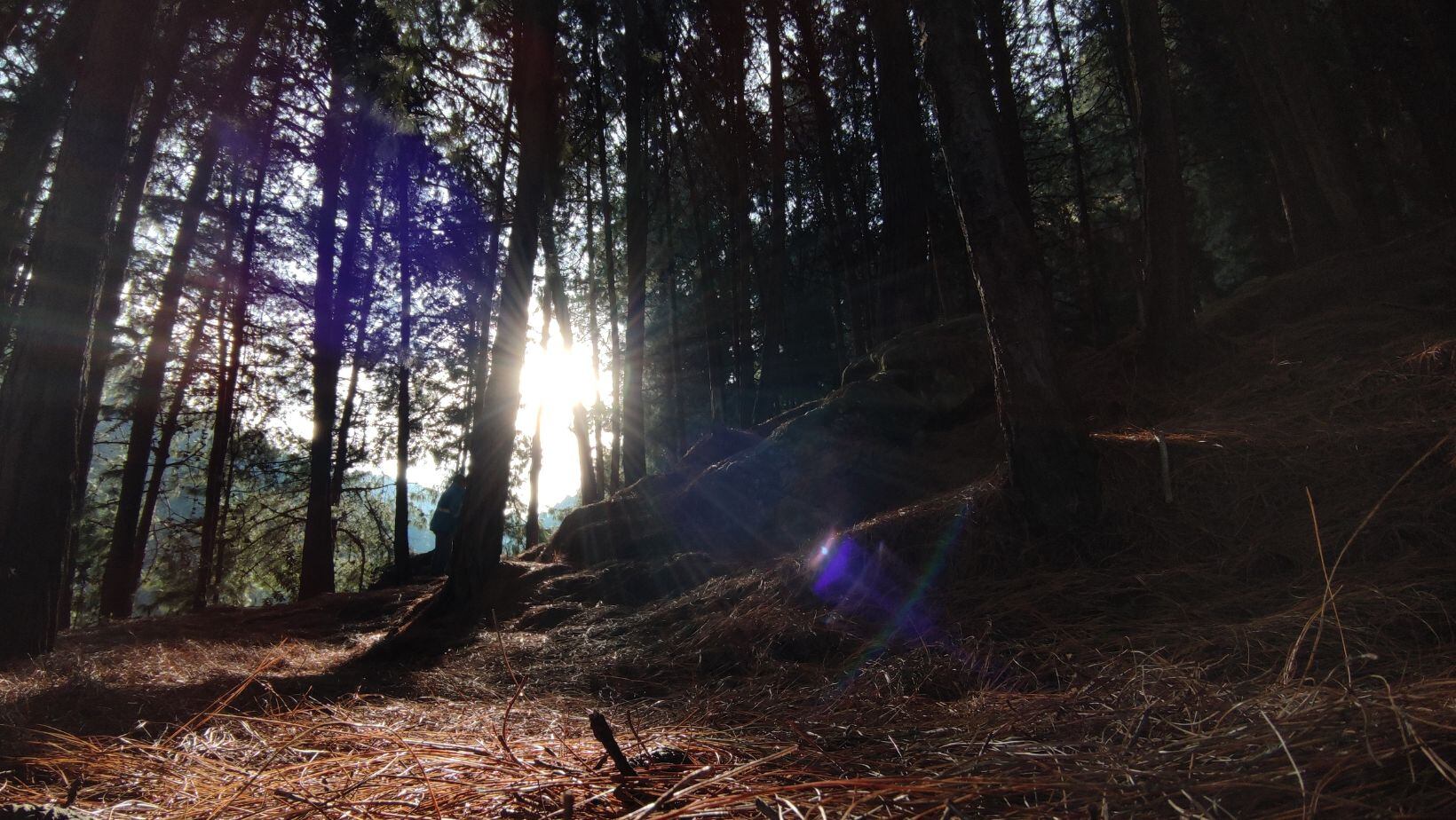 Reabren uno de los senderos más populares de los cerros orientales de Bogotá: así es posible agendar la visita