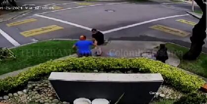 El amo del canino fue intimidado con armas por el delincuente.