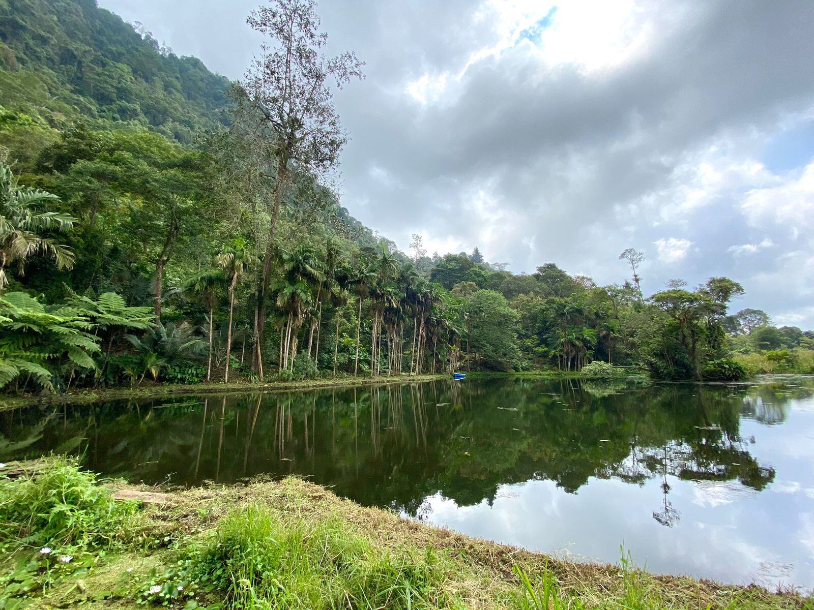 La protección de humedales, ecosistemas, y afluentes es uno de los compromisos ambientales que tiene el país