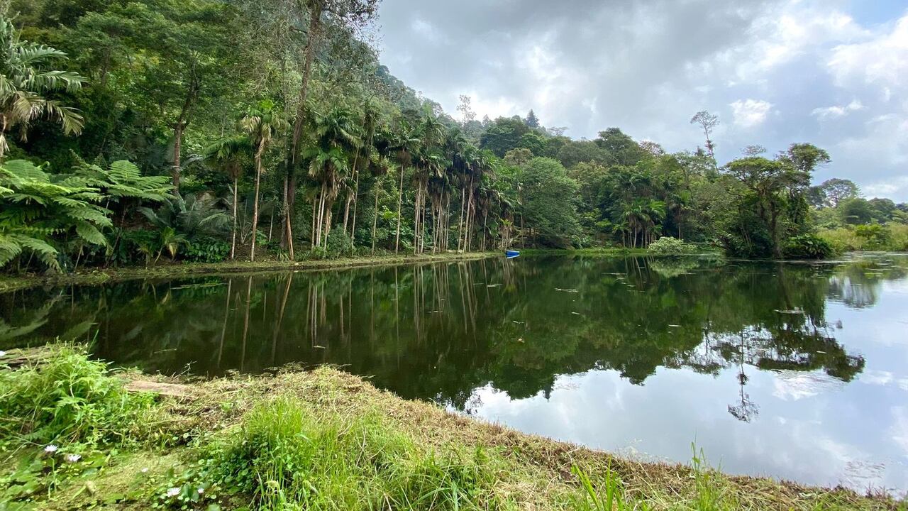 La protección de humedales, ecosistemas, y afluentes es uno de los compromisos ambientales que tiene el país