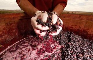 El proceso de prensado para el Unca Cepa Premium es totalmente artesanal.