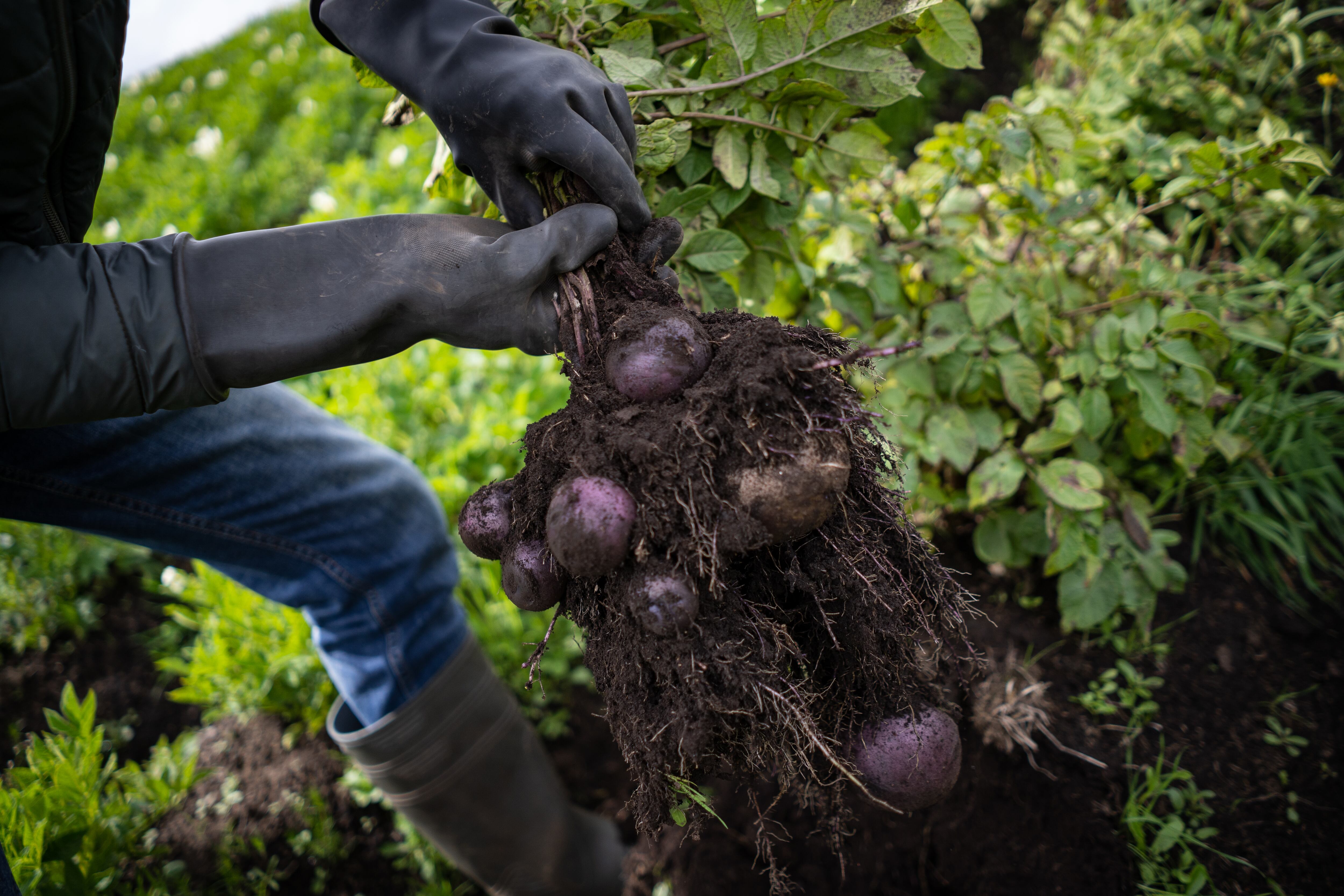 El evento contará con mesas de trabajo político y educativo.