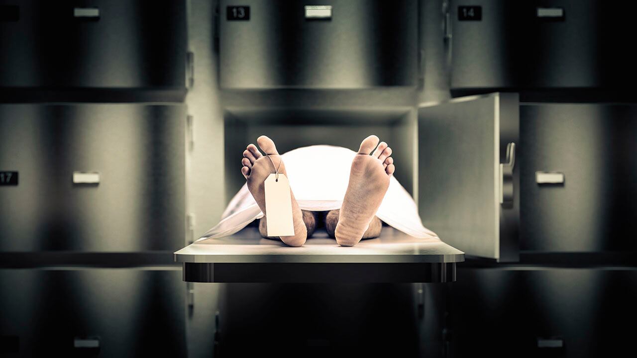 La ira y la intolerancia está acabando con vidas de los bogotanos. 