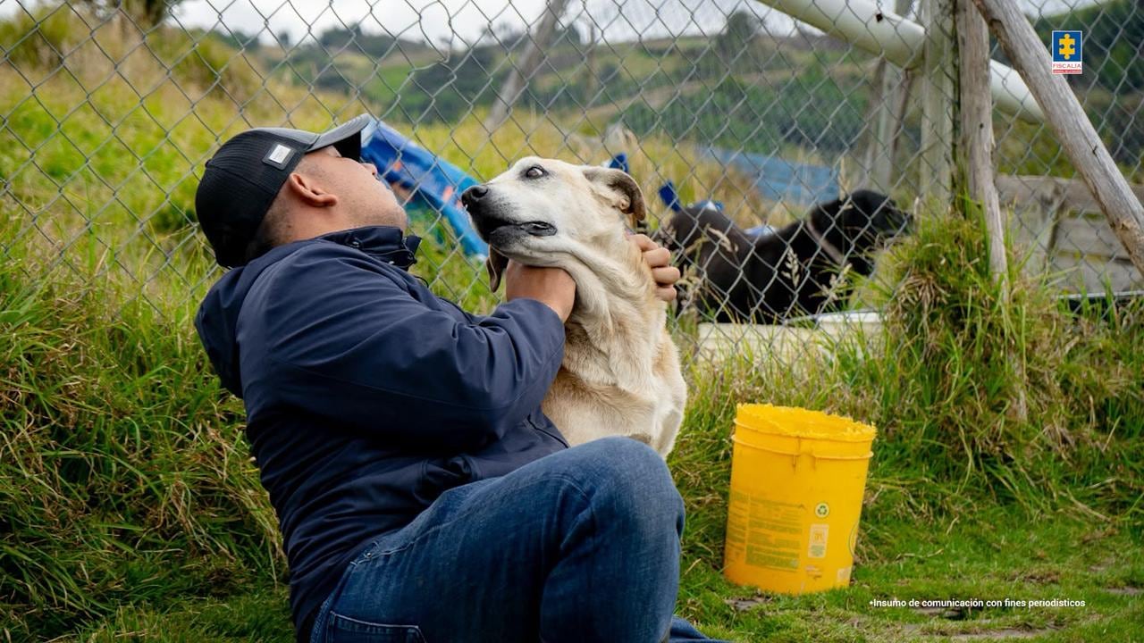 Operativo de la Fiscalía contra una falsa fundación protectora de animales.