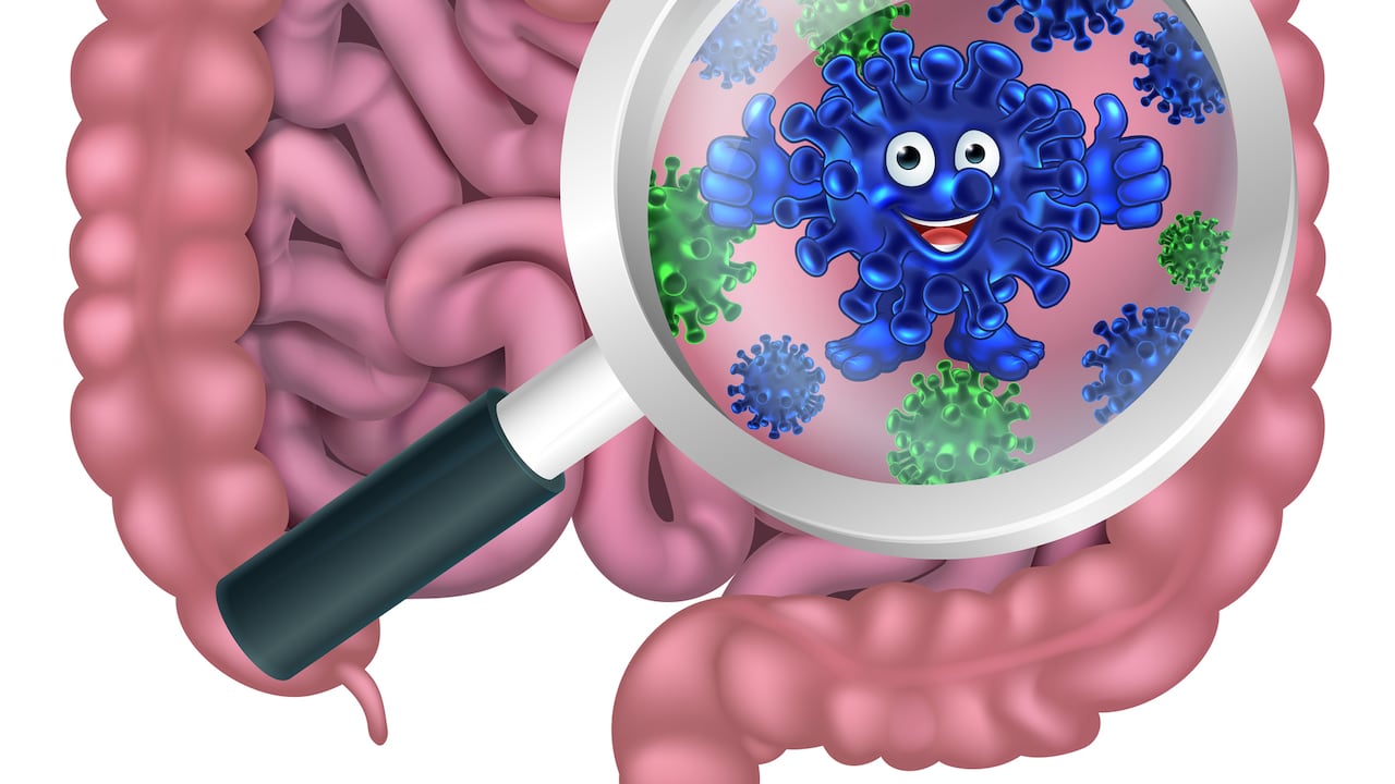 Los parásitos intestinales se desarrollan fácilmente en los niños.