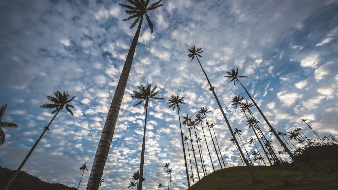 La falta de planificación, control y regulación del turismo en Salento desencadena conflictos socioambientales.