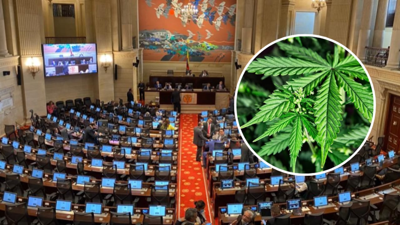 Varios miembros de la oposición rechazaron este proyecto de Ley.