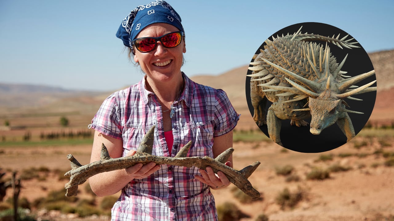 Profesora Susannah Maidment posando con huesos recién descubiertos de 'Spicomellus afer'