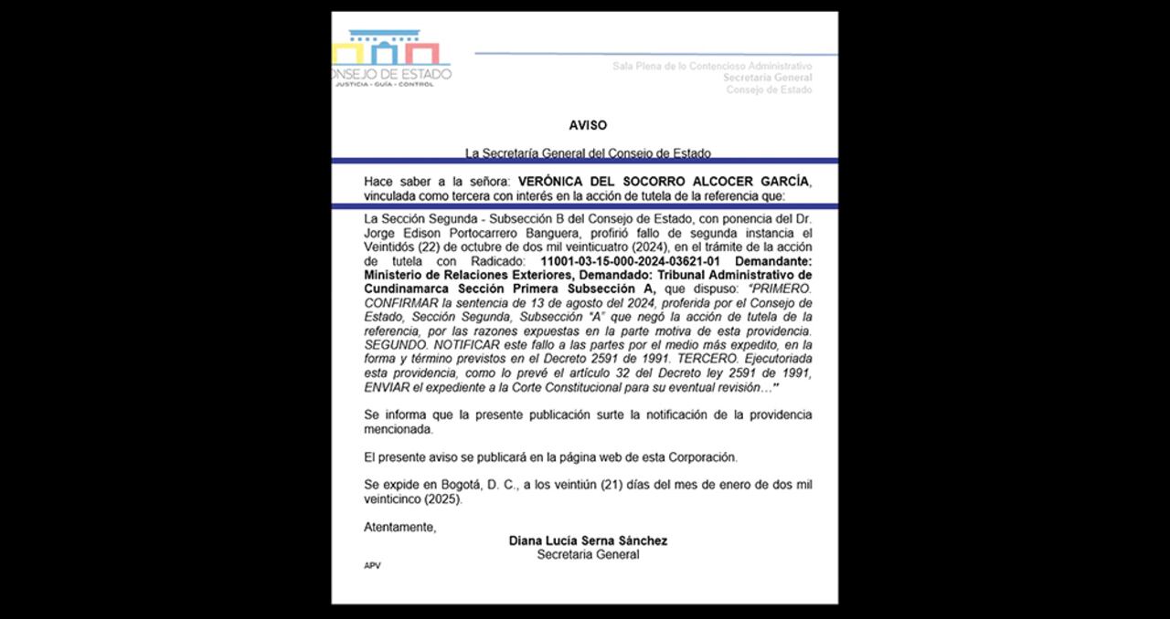 El Consejo de Estado está a punto de tomar una decisión de fondo frente a las gestiones diplomáticas de Alcocer.