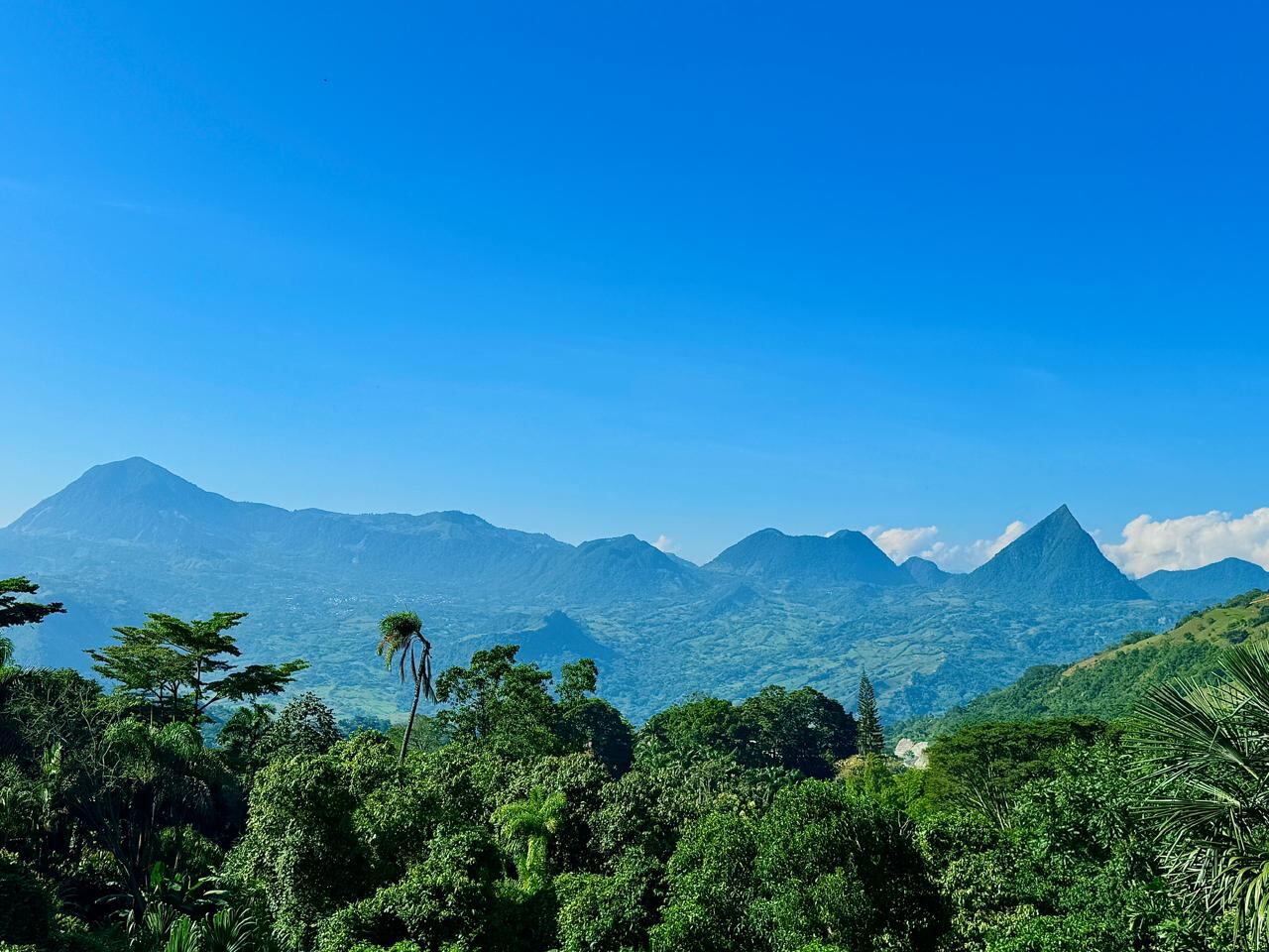 Según la Asociación Hotelera y Turística de Colombia (Cotelco), el número de glampings en Colombia para 2022 ascendía a 350, de los cuales solo 61 estaban registrados en el Registro Nacional de Turismo.