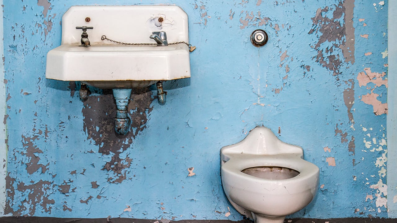 Para Mónica Vargas, "el baño es un espacio democratizador porque todos orinamos y cagamos, pero también evidencia las brechas".