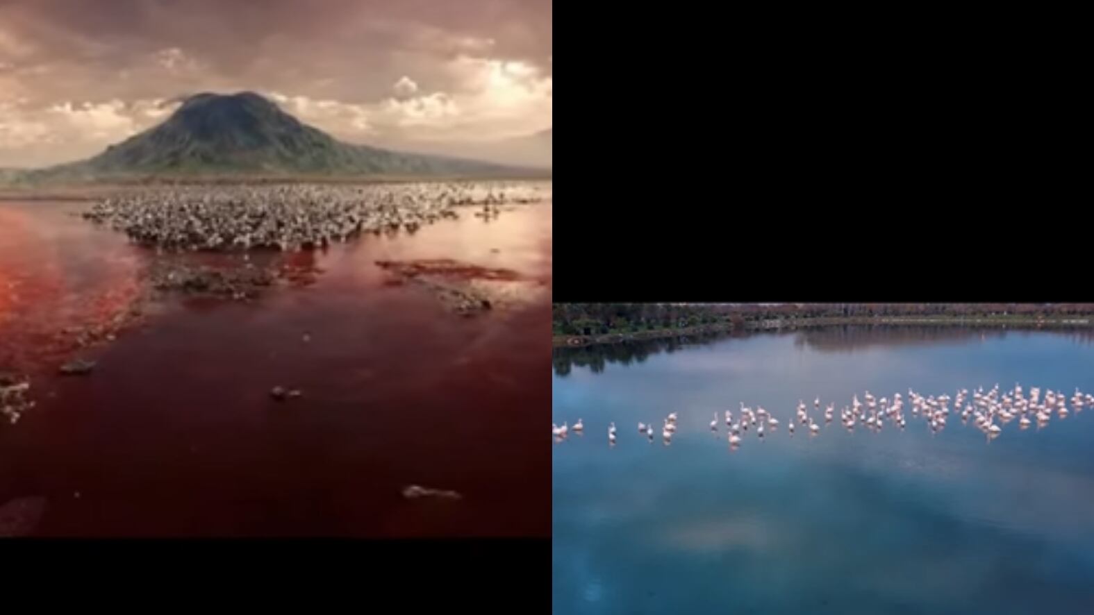 El lago donde la salinidad es extrema