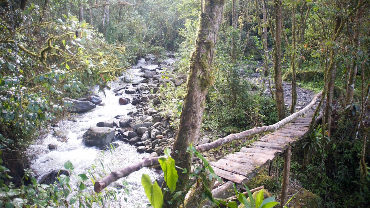 Este es uno de los destinos naturales más bellos del Eje Cafetero.