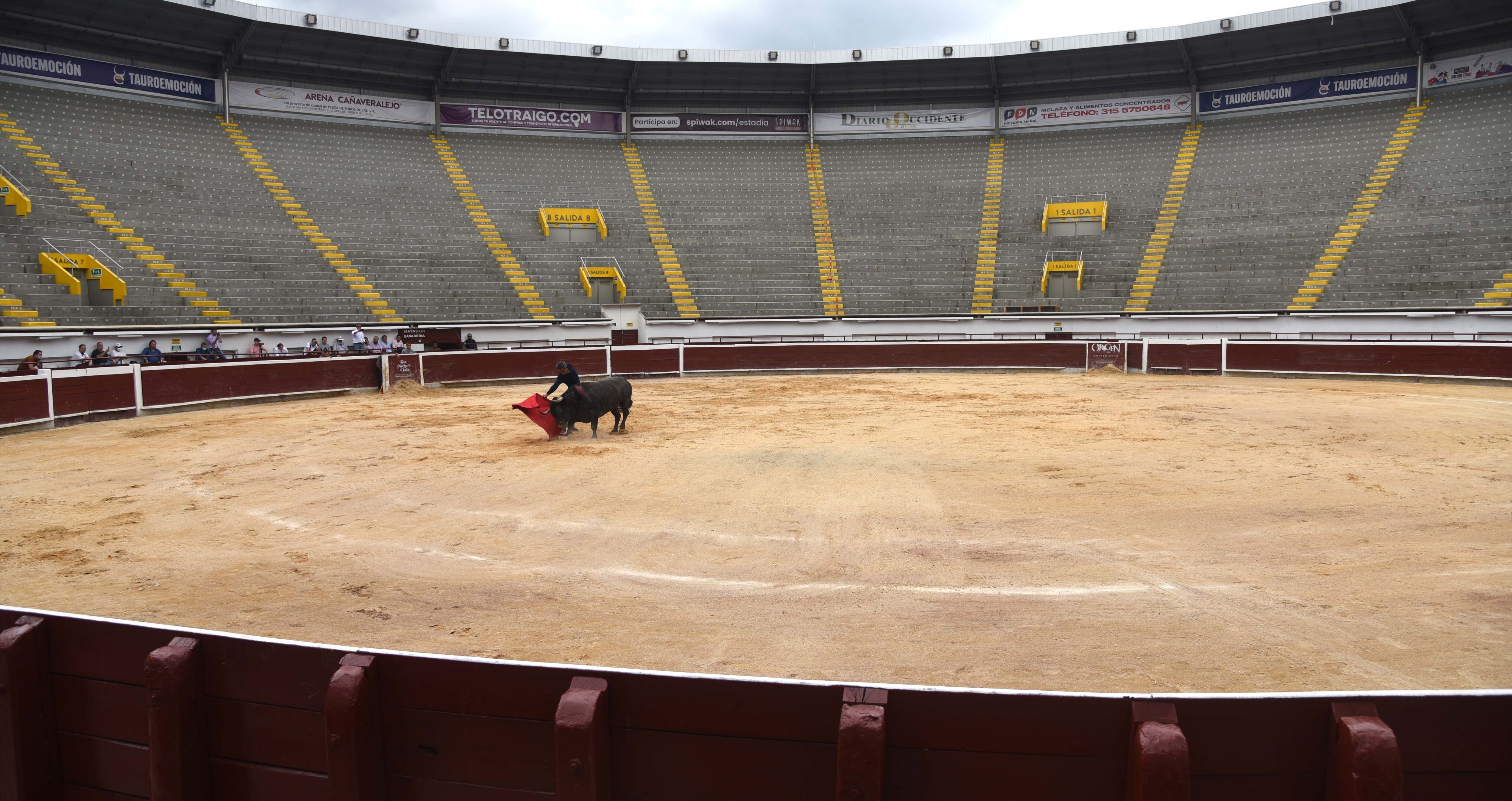 Luis Bolívar lidió el sobrero de Victorino Martín a puerta cerrada. Cali, 31 de diciembre de 2021.