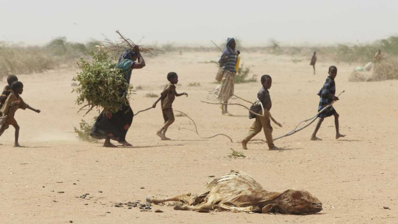 Sudán del Sur logró su independencia de Sudán en el 2011, es el país más nuevo del mundo.