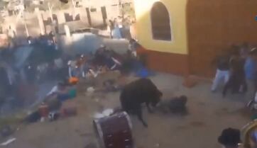 El toro atacó a varias personas que se encontraban en el lugar
