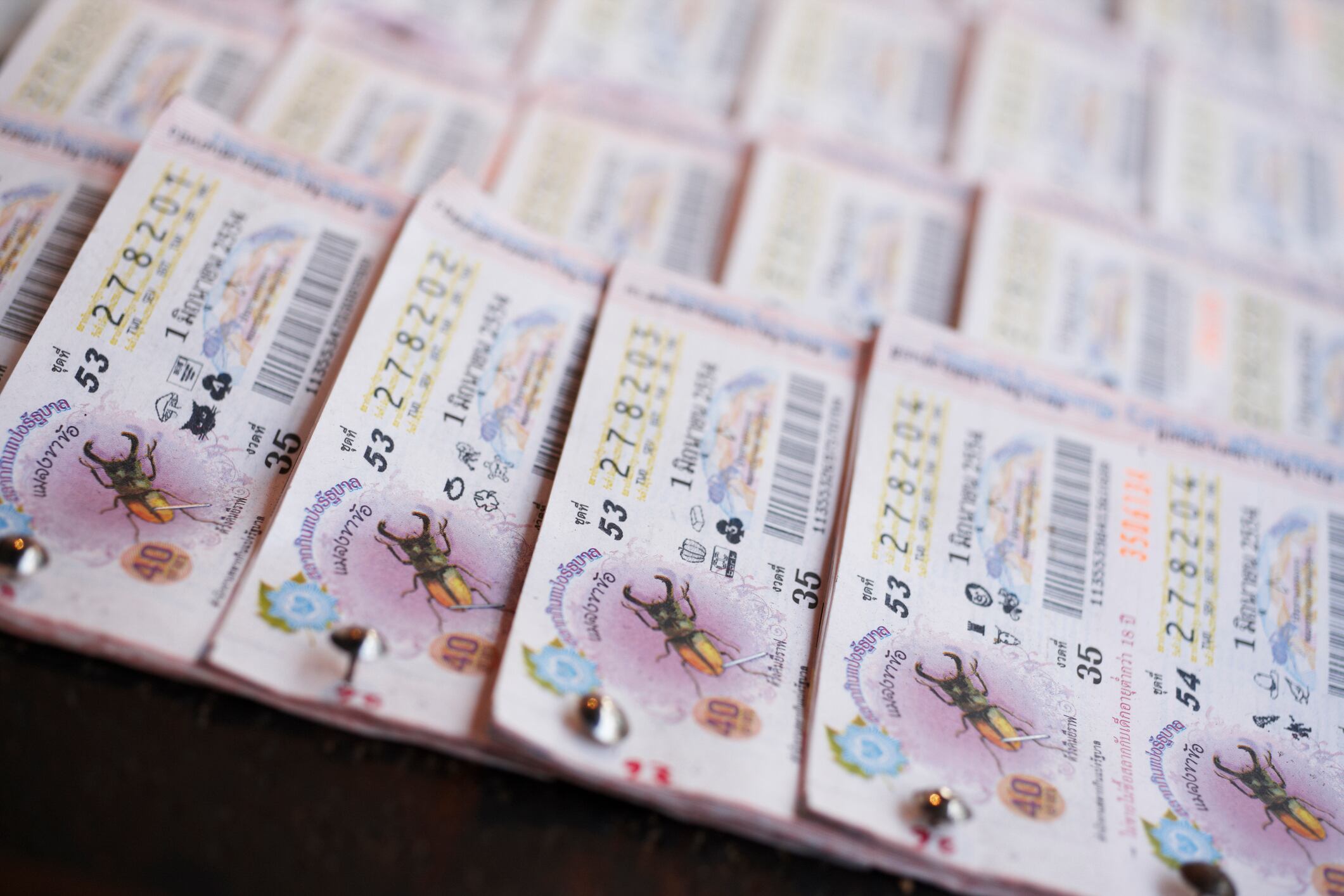 Resultados de La Caribeña Día 18 de abril