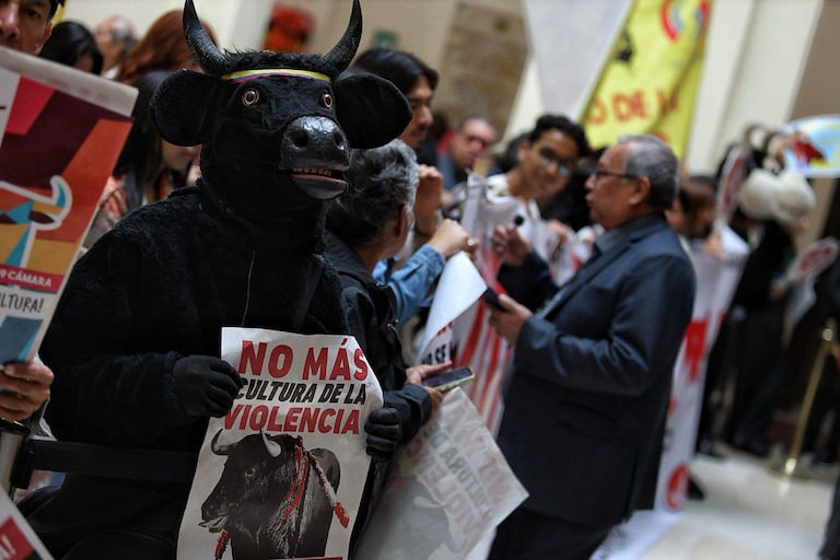 Congreso de Colombia define proyecto de para la prohibición de las corridas de toros.