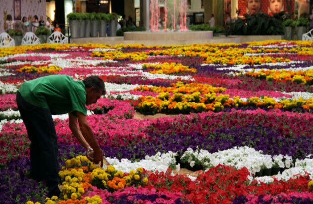 Con la Feria diferentes lugares se visten de fiesta, como los centros comerciales, que organizan eventos durante ésta. 
