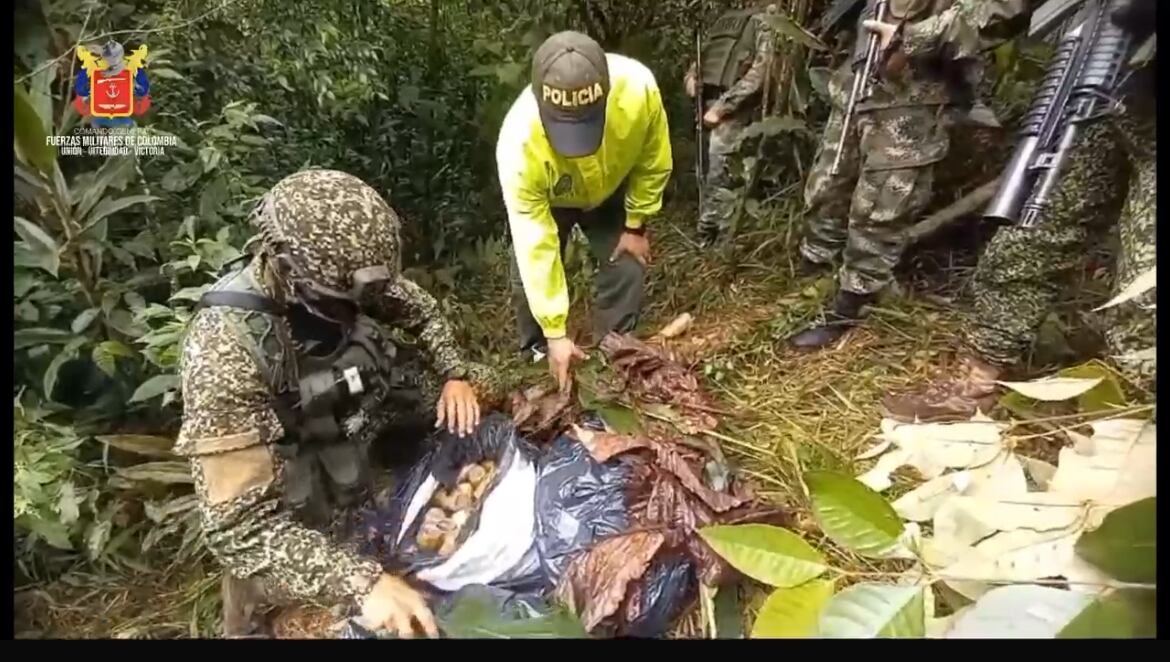 Disidencias de Iván Mordisco estarían usando a menores de edad para cuidar minas antipersona.