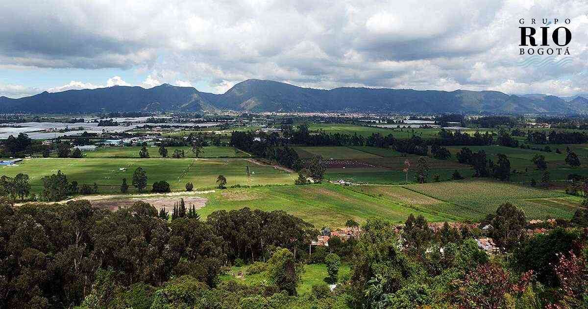 Reserva Van der Hammen.