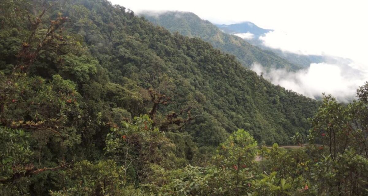Este es el Trampolín de las Aves, en Mocoa, Putumayo, uno de los mejores lugares para avistar aves en Colombia.