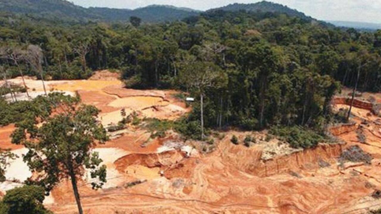 Durante la primera década del siglo XXI, se suprimieron cerca de 240.000 km2 de bosque en la región del Amazonas.