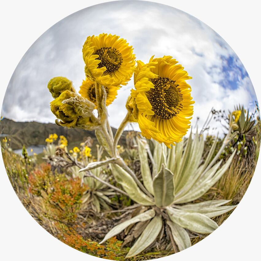 'Colombia... naturalmente': la exposición estará en el aeropuerto El Dorado desde el 22 de noviembre y hasta abril de 2024.