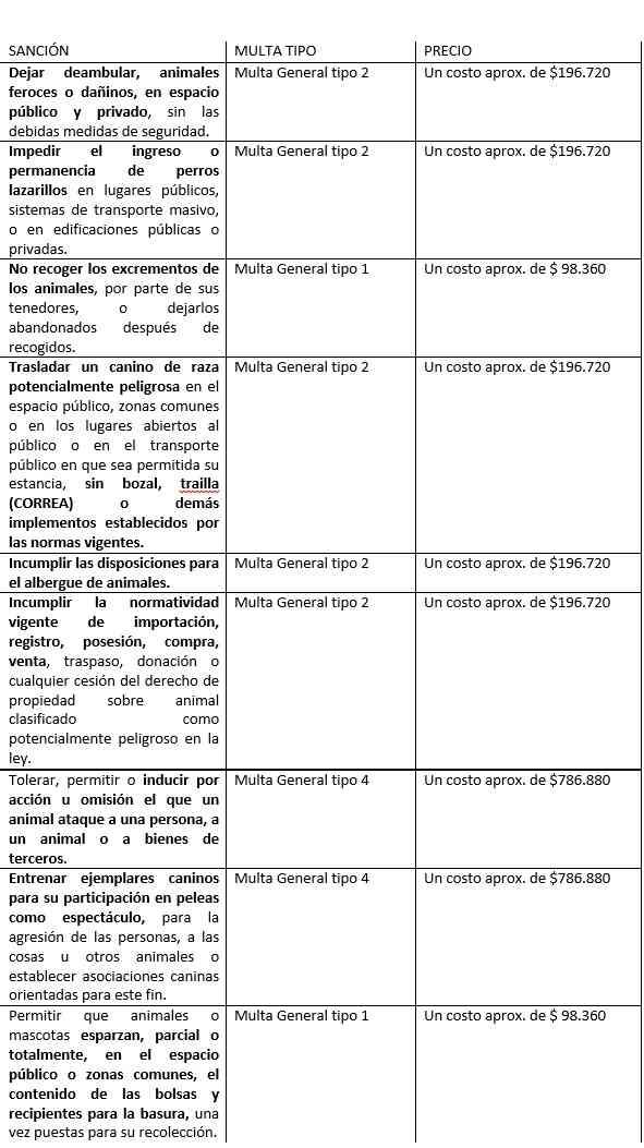 Estos son los tipos de multas.