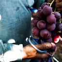 Colombia es uno de los principales mercados de las frutas chilenas