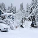 Spring Street en Nevada City, California, estaba cubierta de nieve y ramas de árboles caídas. Foto AP / Elias Funez / The Union