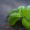 La albahaca contiene propiedades terapéuticas que alivian los malestares del sistema nervioso, como el estrés.