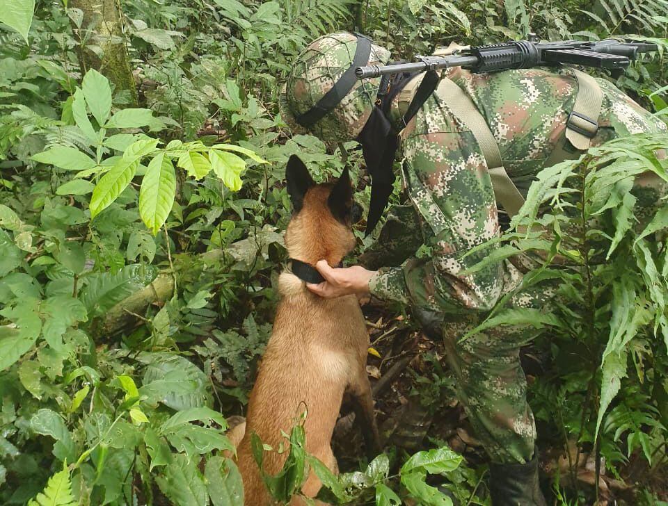 Según el general Pedro Sánchez, es altamente improbable que logremos encontrar a Wilson.
