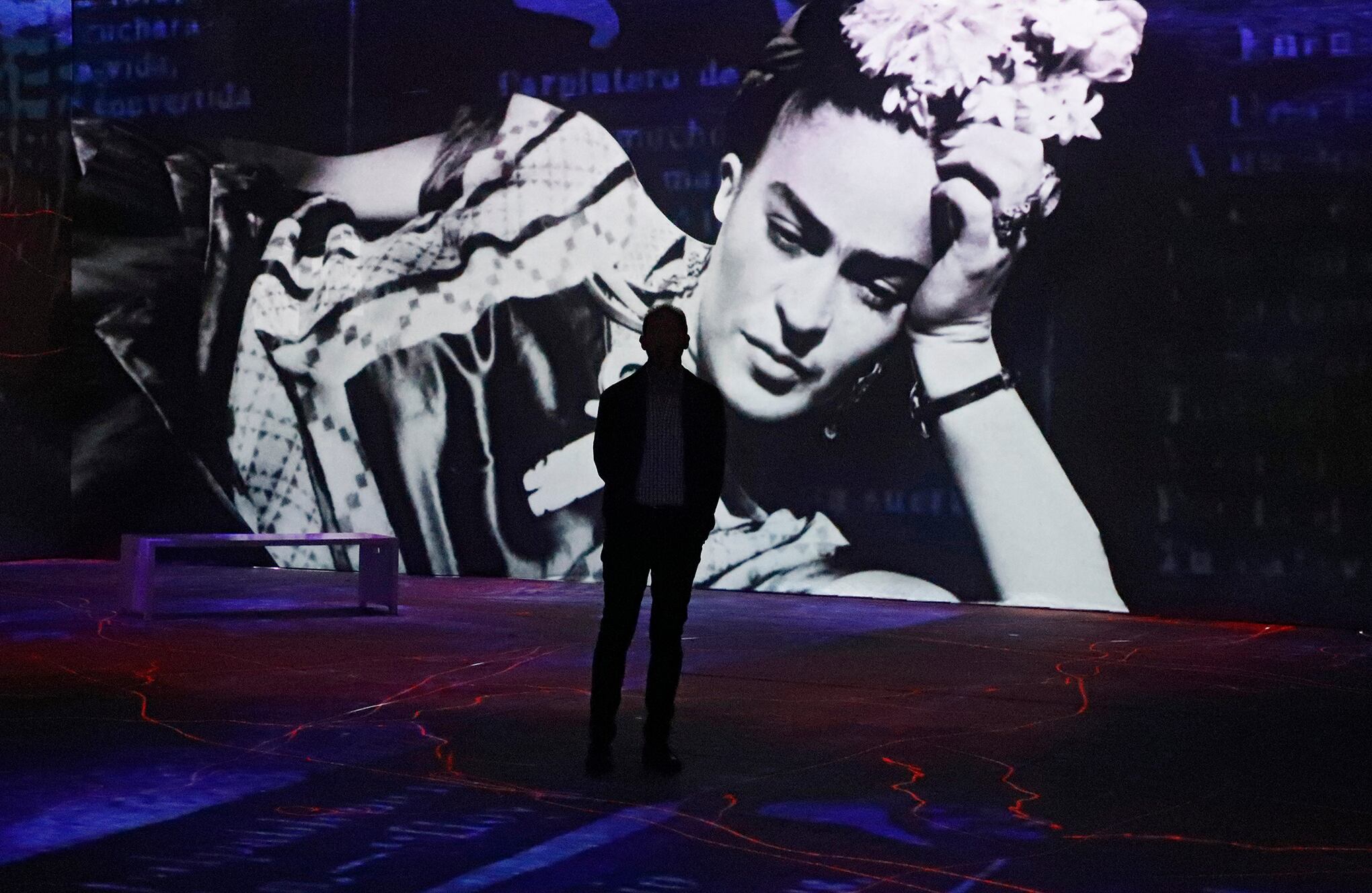 Exposición inmersiva “Frida Kahlo, La Vida de un Icono”
Frida Kahlo