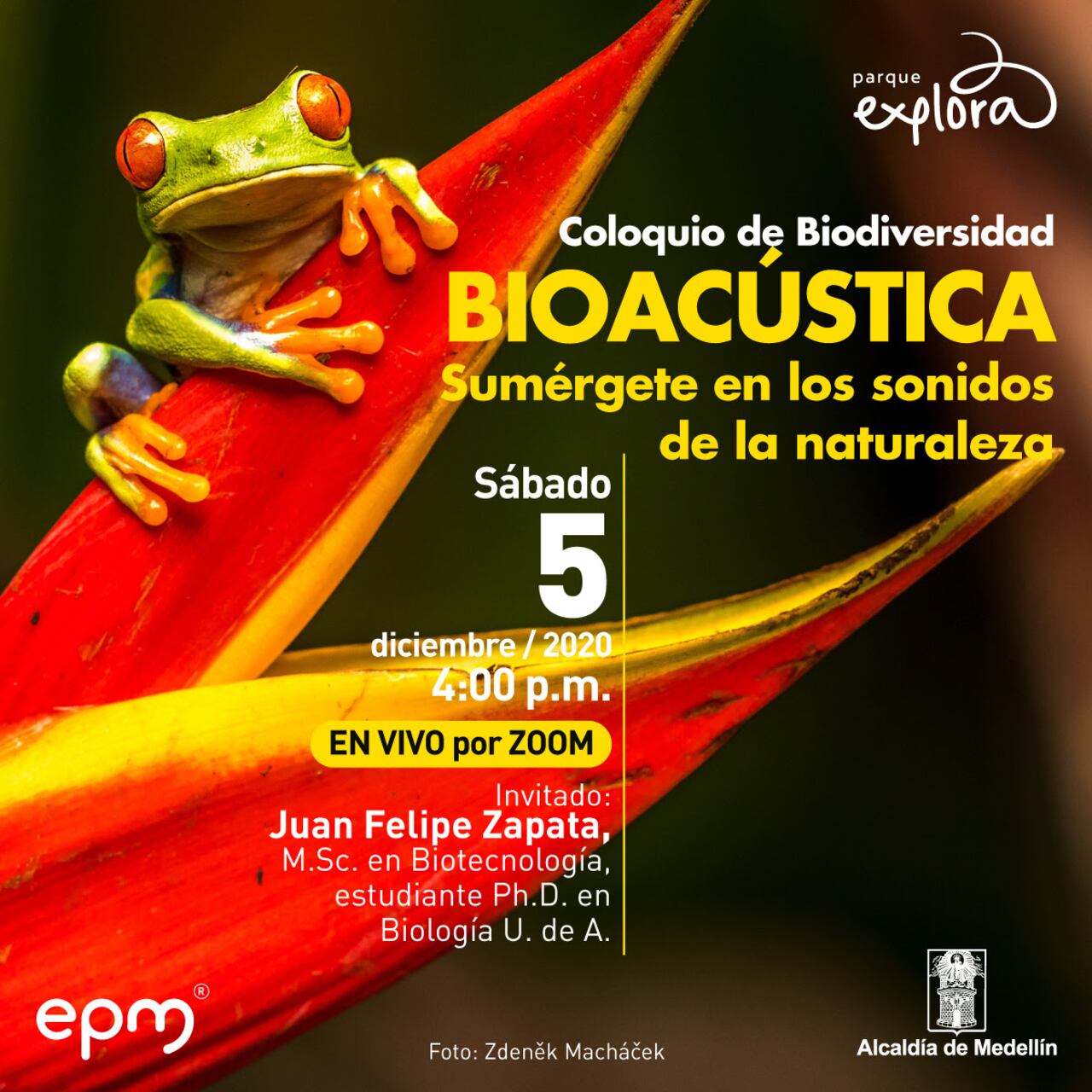 Afiche de Bioacústica, el evento del Parque Explora.