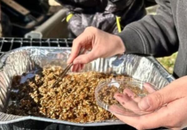 Encuentran restos de comida de hace 20 siglos bajo una casa en Sicilia