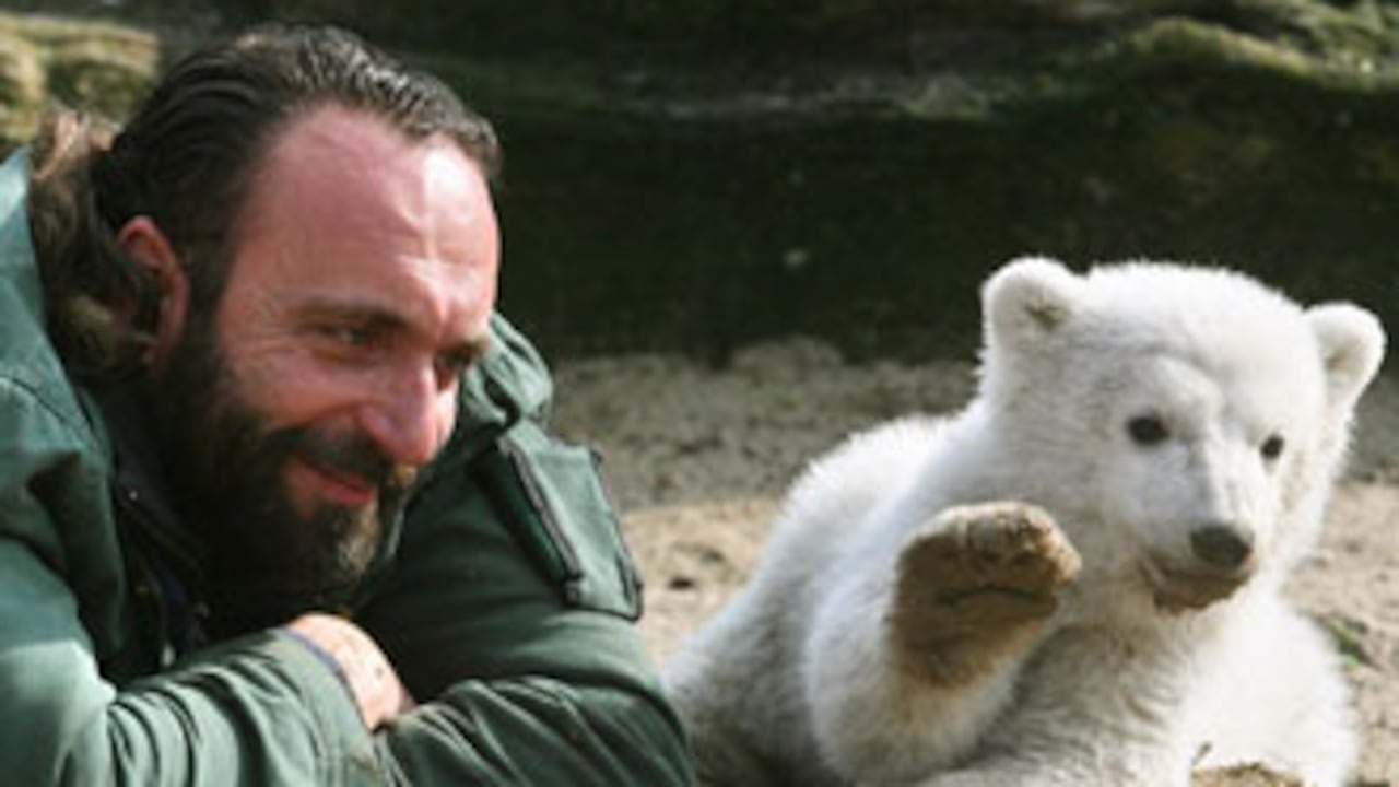 Hasta hace un par de semanas Thomas Dörflein, quien se ha convertido en la madre sustituta de Knut, pasaba las 24 horas del día con el osito. Solía cantarle canciones de Elvis para que se durmiera. Ahora el pequeño de 6 meses ya pasa la noche solo en su cueva.