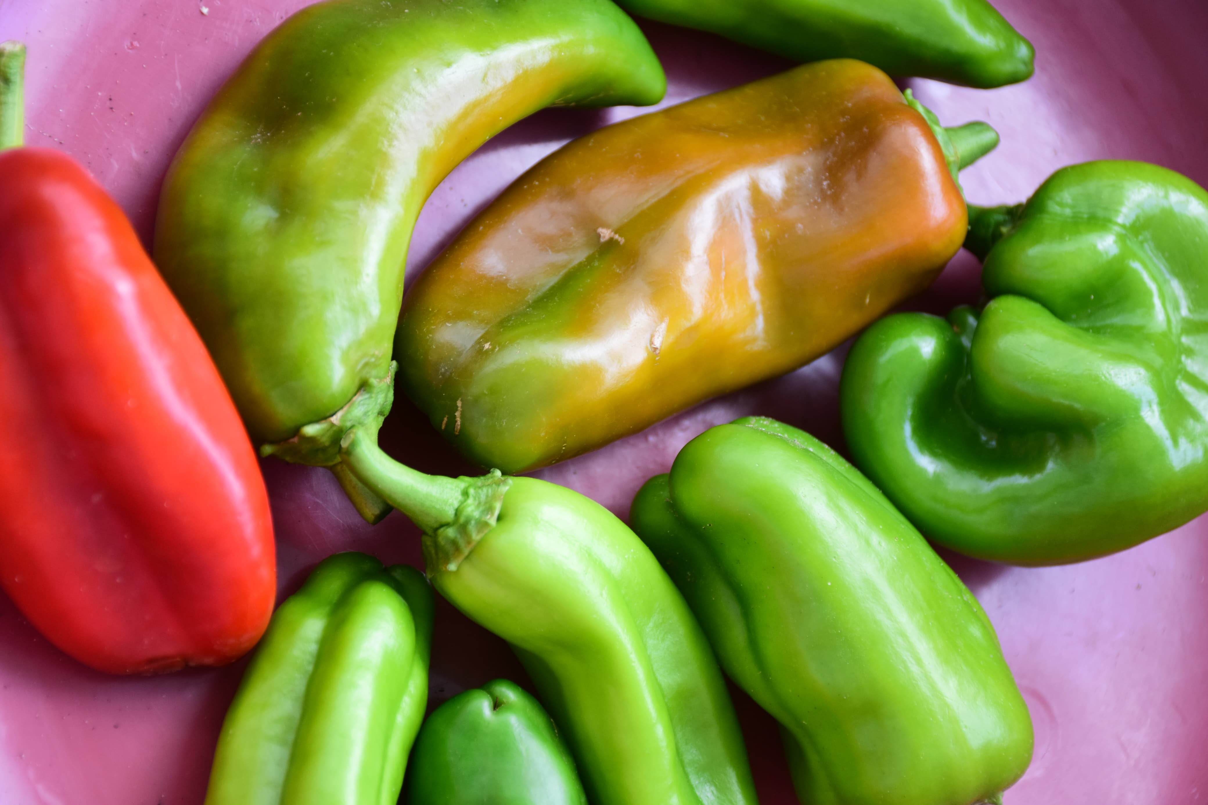 Productos de las huertas comunitarias en Las Gardenias.