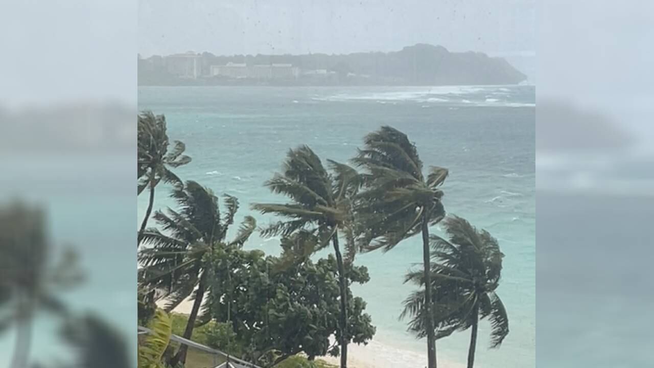 Los árboles se mecen con los fuertes vientos del tifón Mawar en Tamuning, Guam.