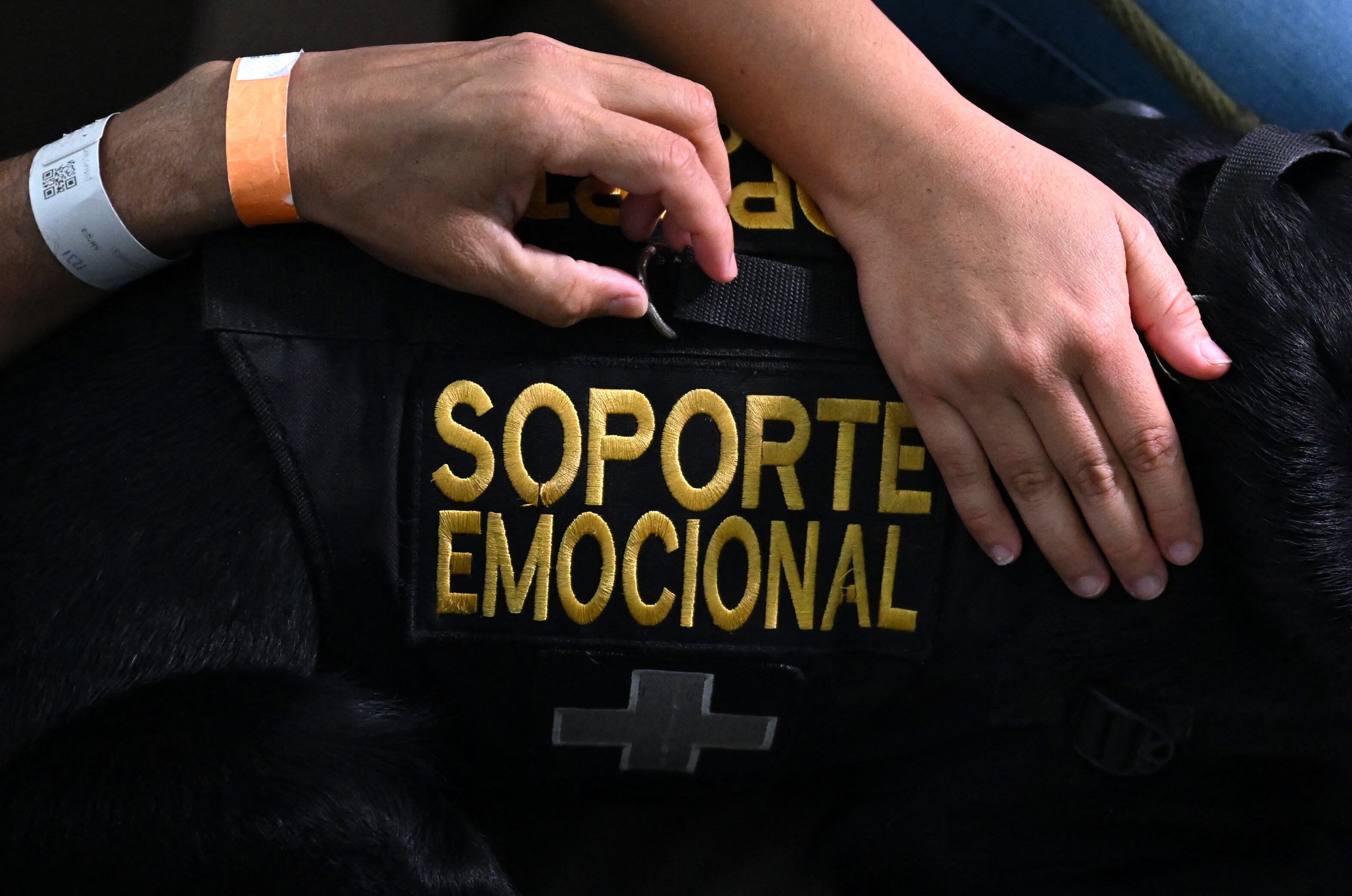 Perros de ayuda emocional