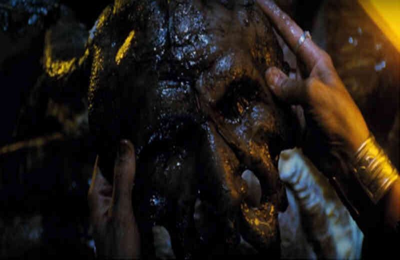 Mimic (1997) En esta narración, insectos son modificados con fines científicos, dándoles más tamaño, fuerza y resistencia. Pero pronto se salen de las manos de quienes los hicieron y su sistema de adaptación y sobrevivencia es tal que lograr mimetizar su apariencia para parecer humanos.