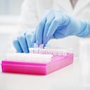 ETS aumentaron en Estados Unidos durante la pandemia