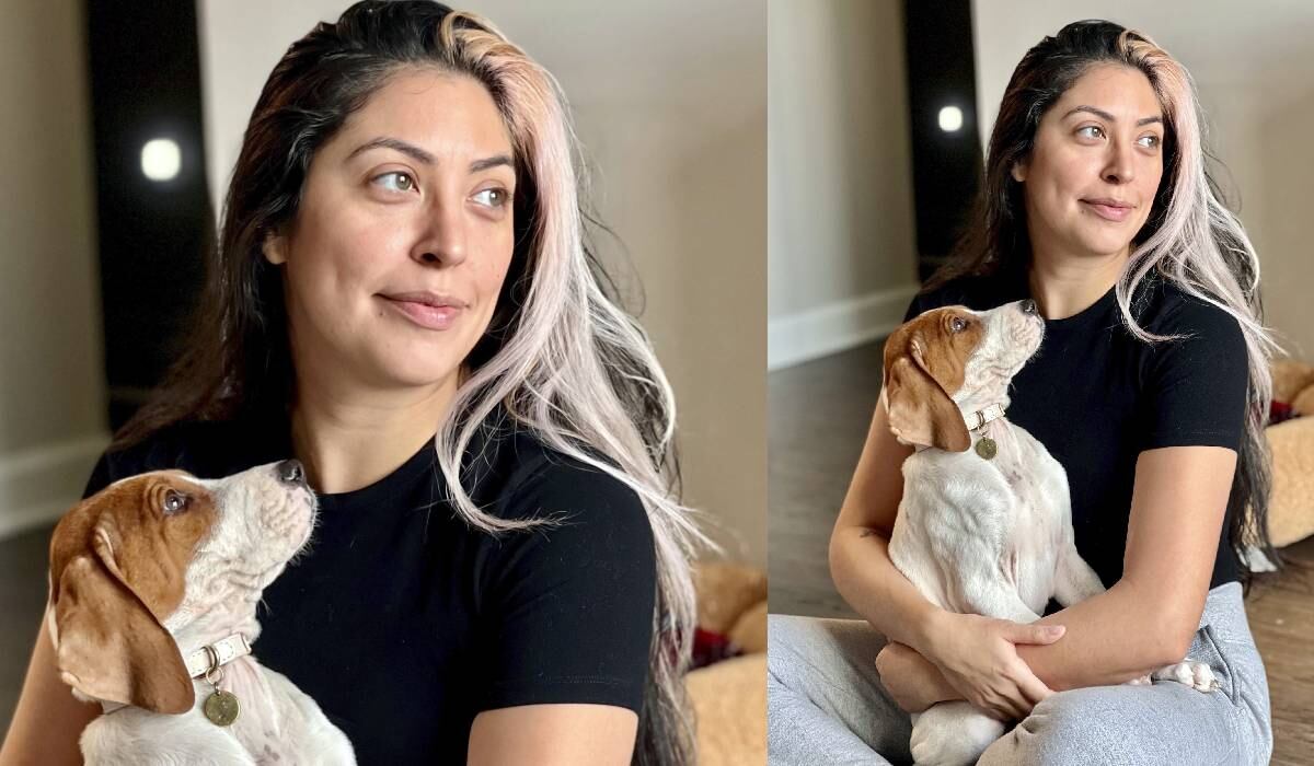 La mascota sufría de problemas hepáticos