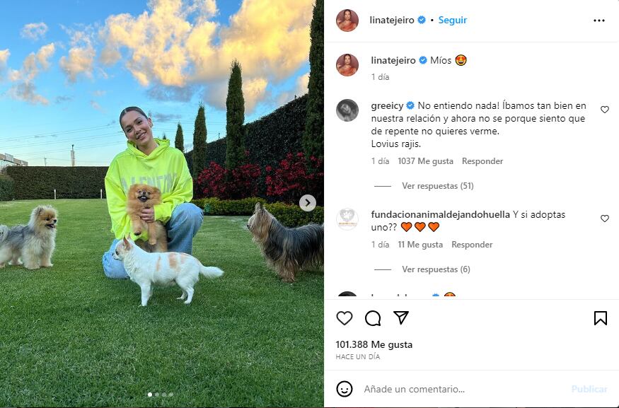 El comentario de Greeicy en la publicación de Lina Tejeiro.