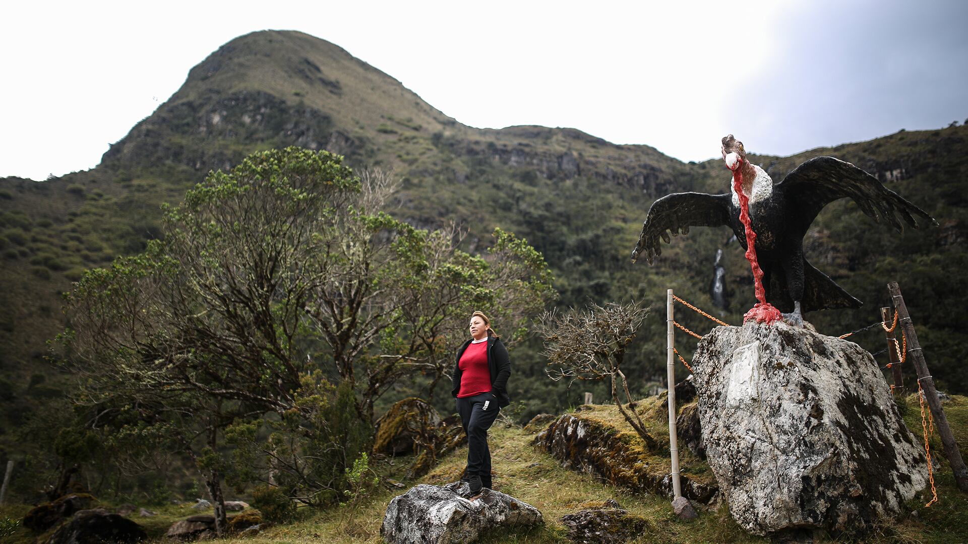 Rincón de Camagueta