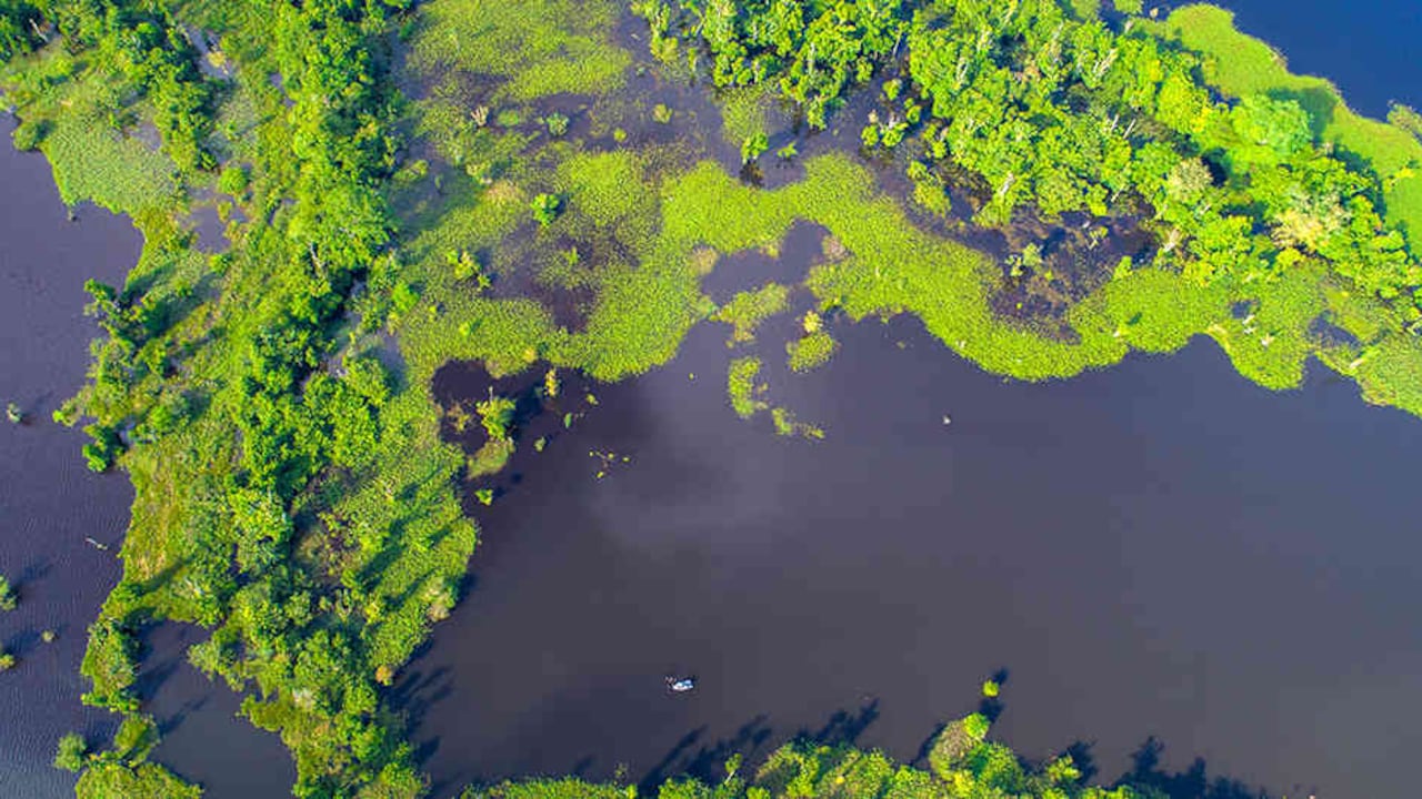 El 31 por ciento de las aguas del Atrato pertenecen al departamento de Antioquia.
