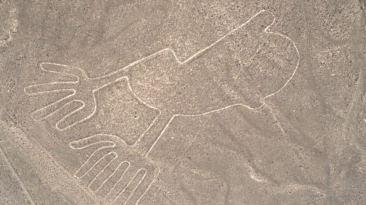 El entrenamiento de estas herramientas tardó varios años.