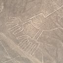 El entrenamiento de estas herramientas tardó varios años.