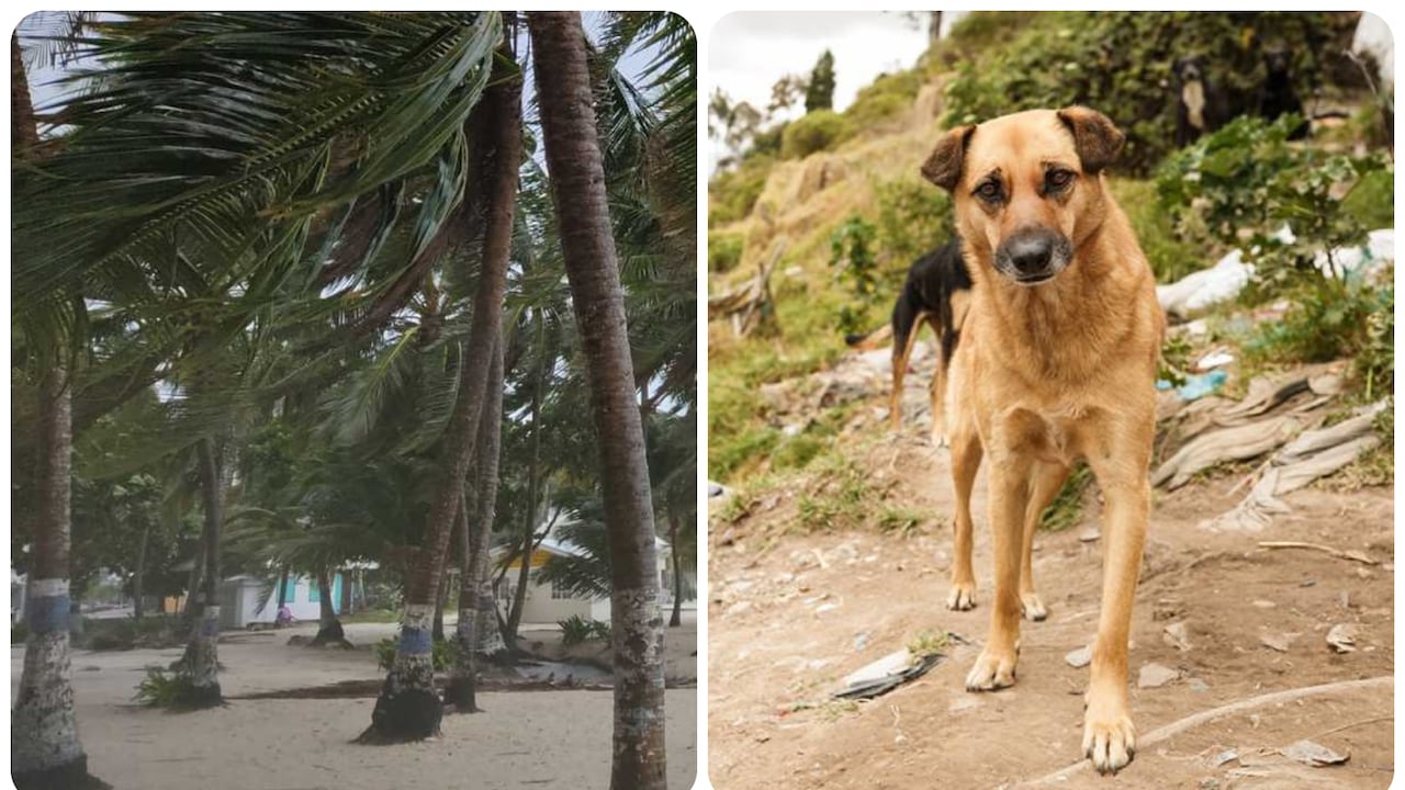El Ideam realiza un monitoreo permanente y sostiene un puesto de mando unificado en conjunto con autoridades del archipiélago.